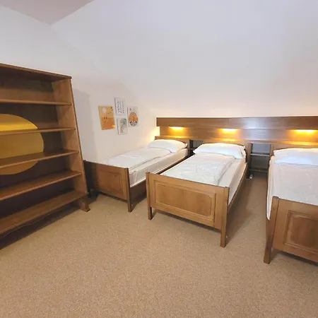 Διαμέρισμα Katalin Bad Mitterndorf